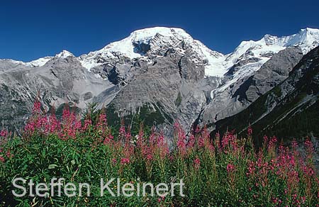 dolomiten - ortler 007